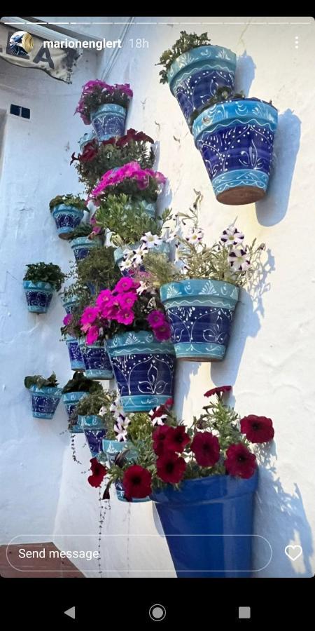 Mijas Pueblo Paradise Villa Malaga Zewnętrze zdjęcie